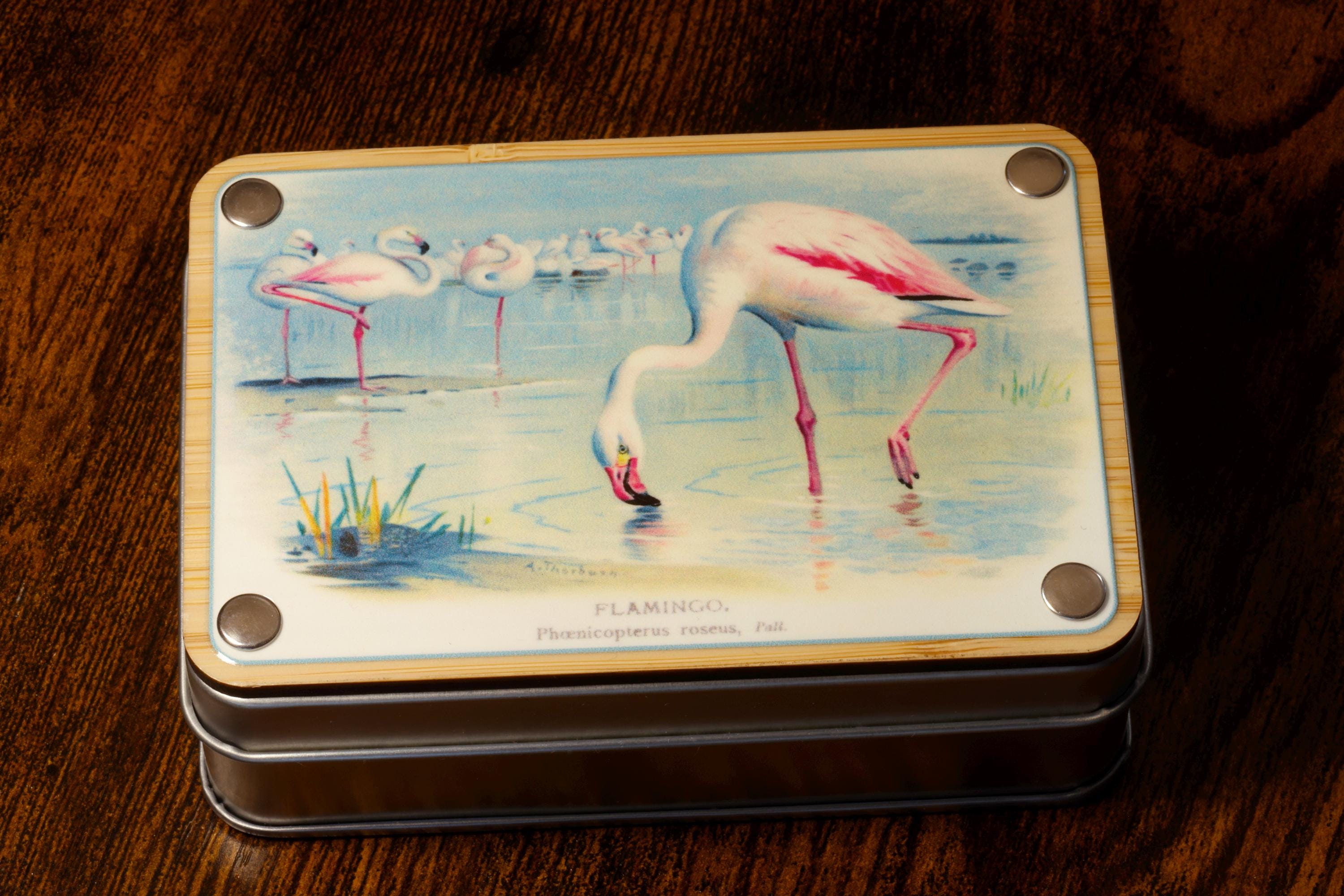 Natural History flamingoes dice box and set