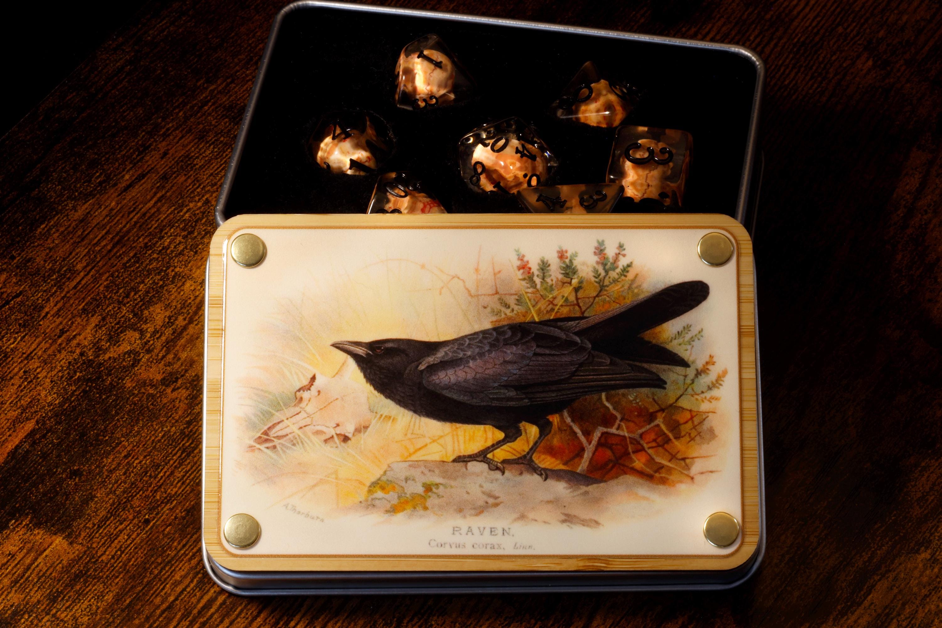 Raven dice box and Skull dice set - The Wizard's Vault