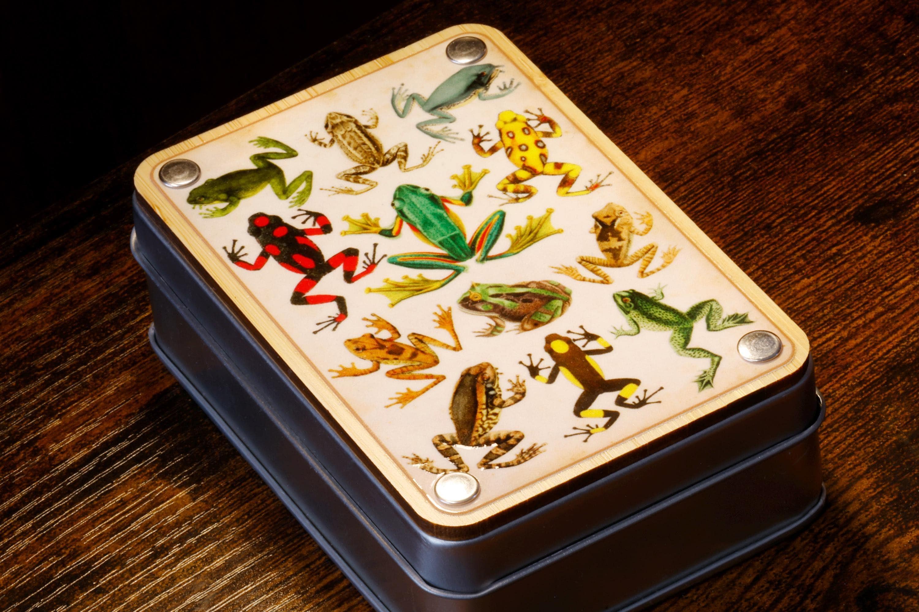 Natural History Frog Dice Box and Dice Set