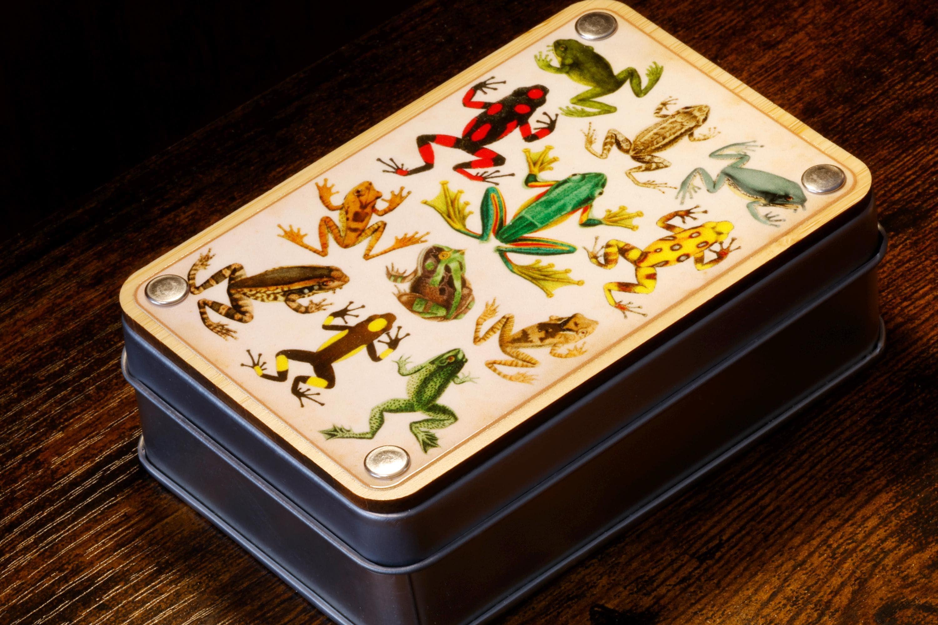 Natural History Frog Dice Box and Dice Set