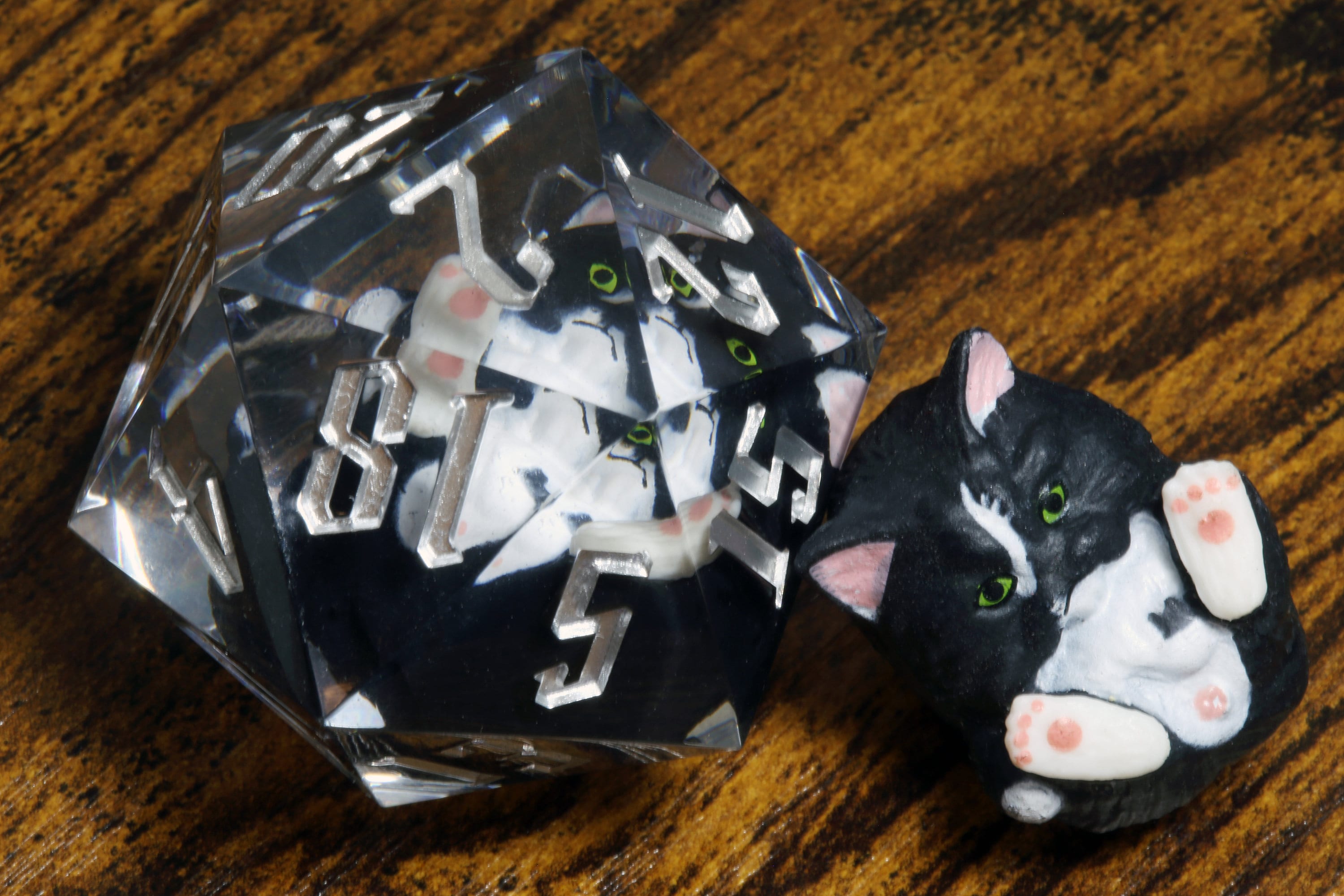 Black and white Kitty D20