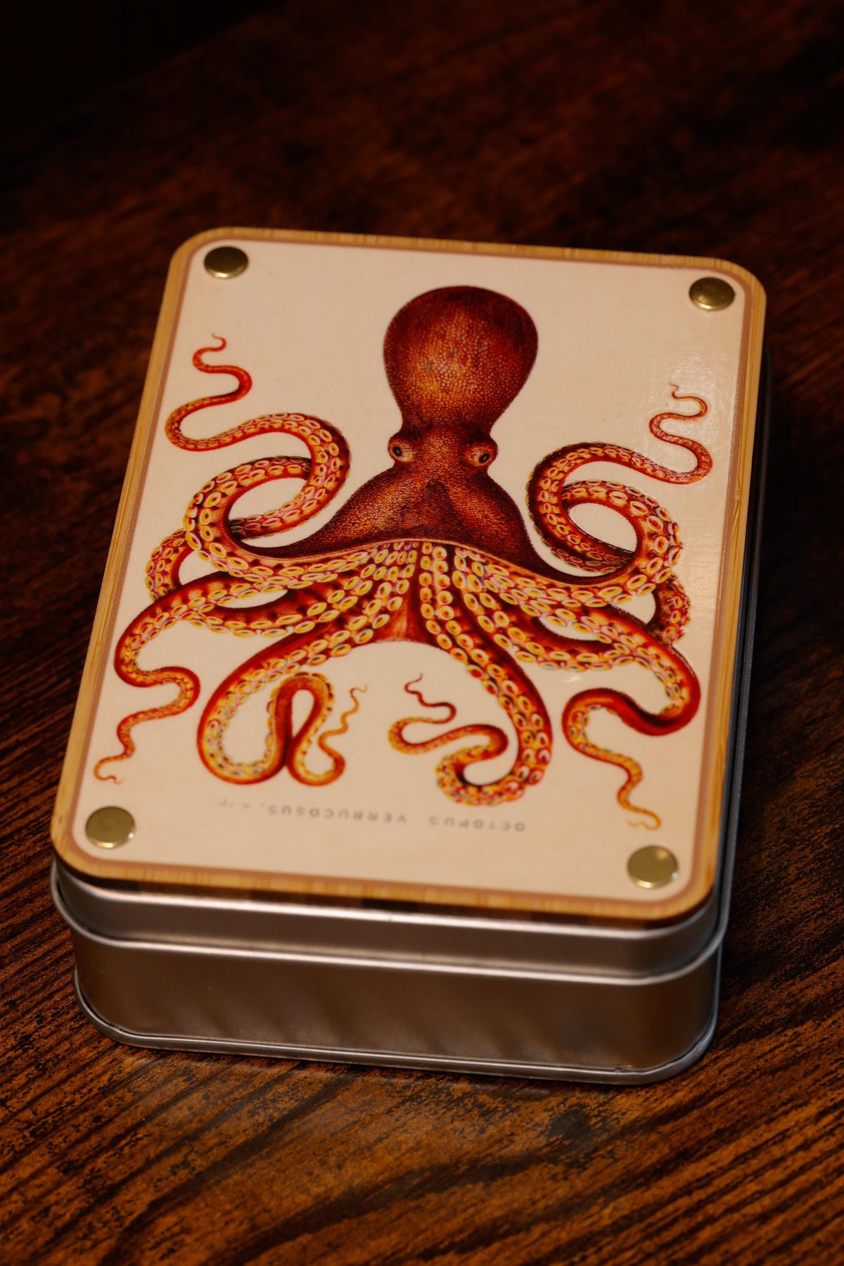 Natural History Octopus Dice Box & 11-Piece Set – Octopus Inclusions on Blue Layer