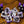 Beware !! The cats of doom dice set with metal box