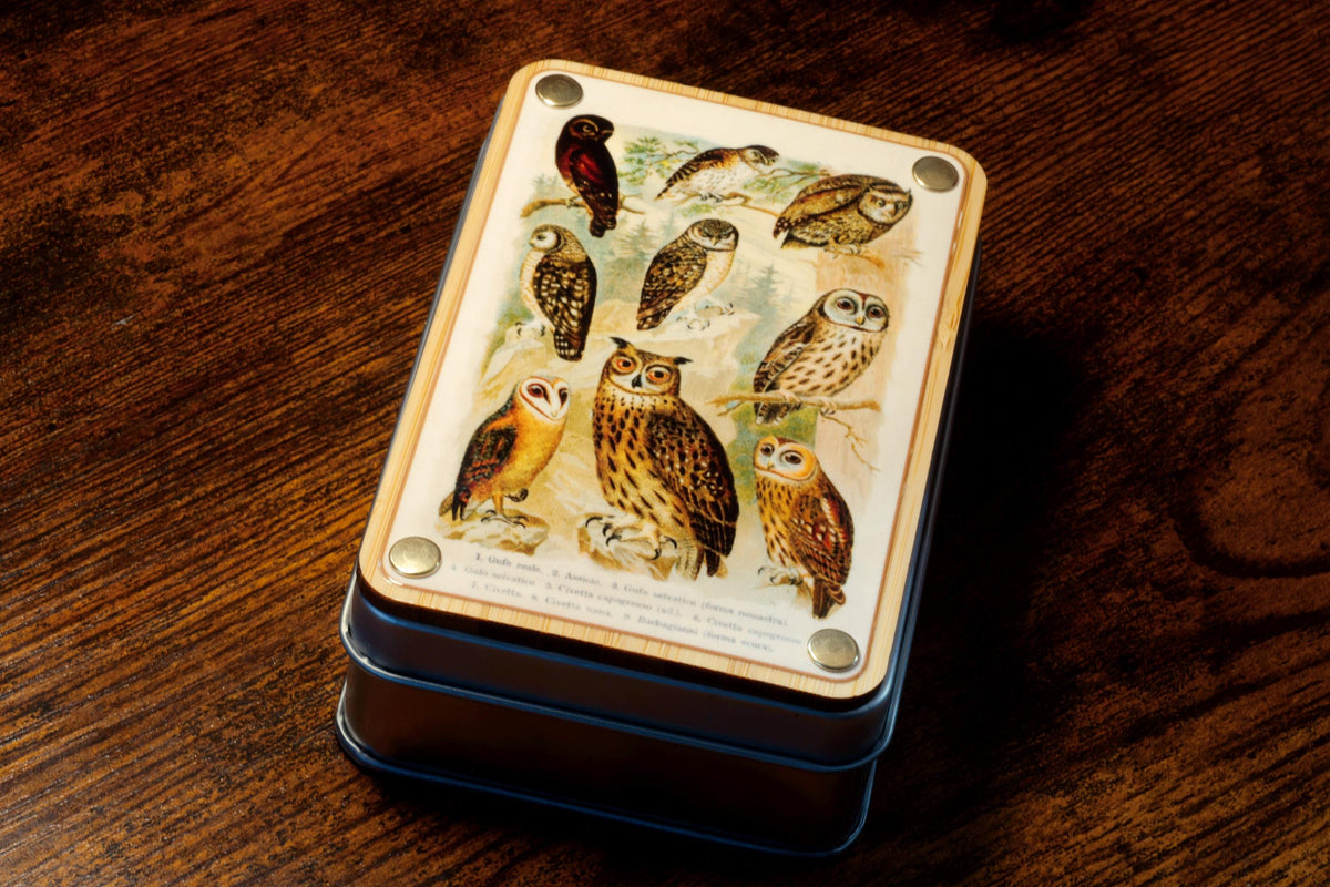 Natural History Owl Dice Box & 7-Piece Set – Owl Inclusions on Green Layer