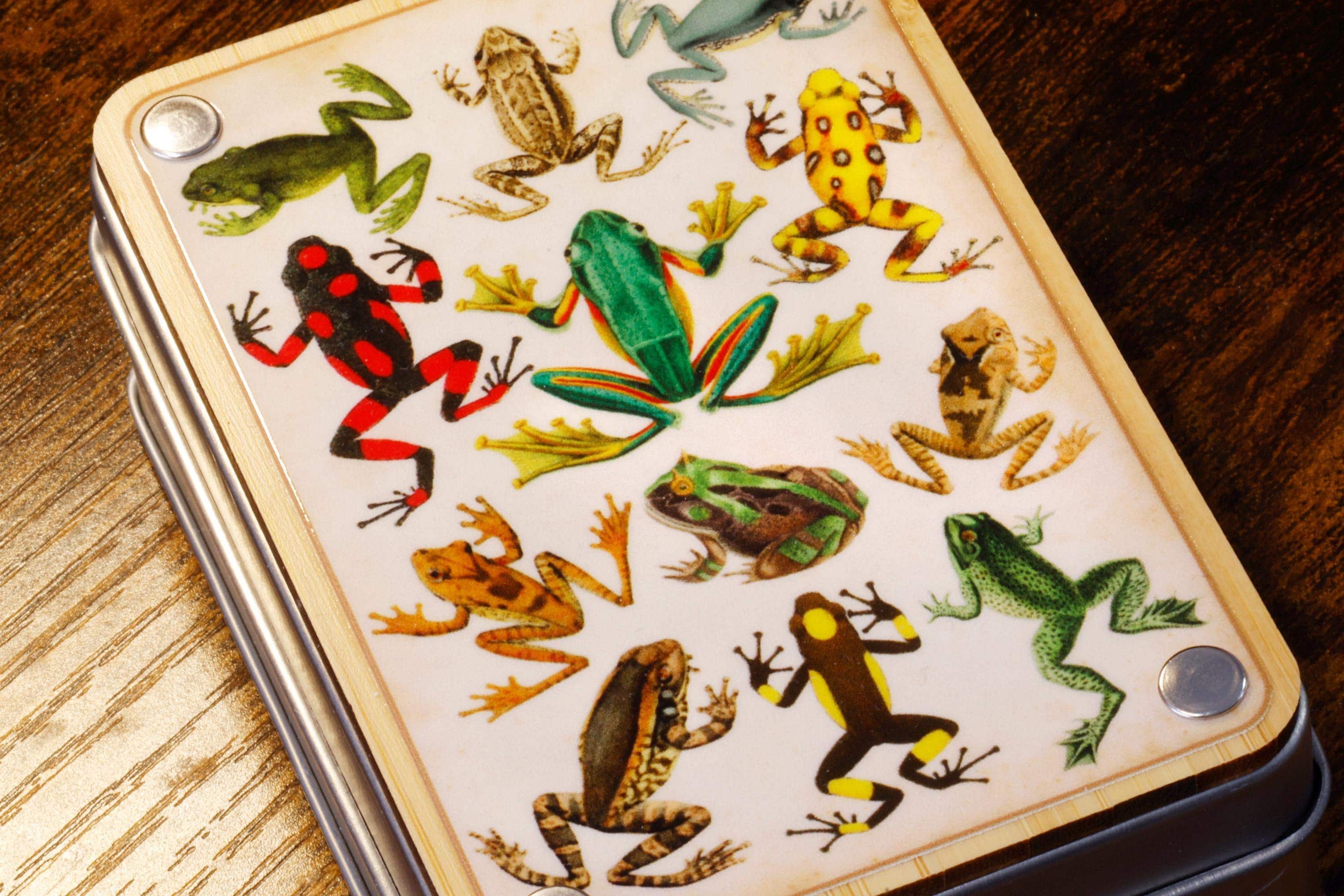 Natural History Frog Dice Box and Dice Set
