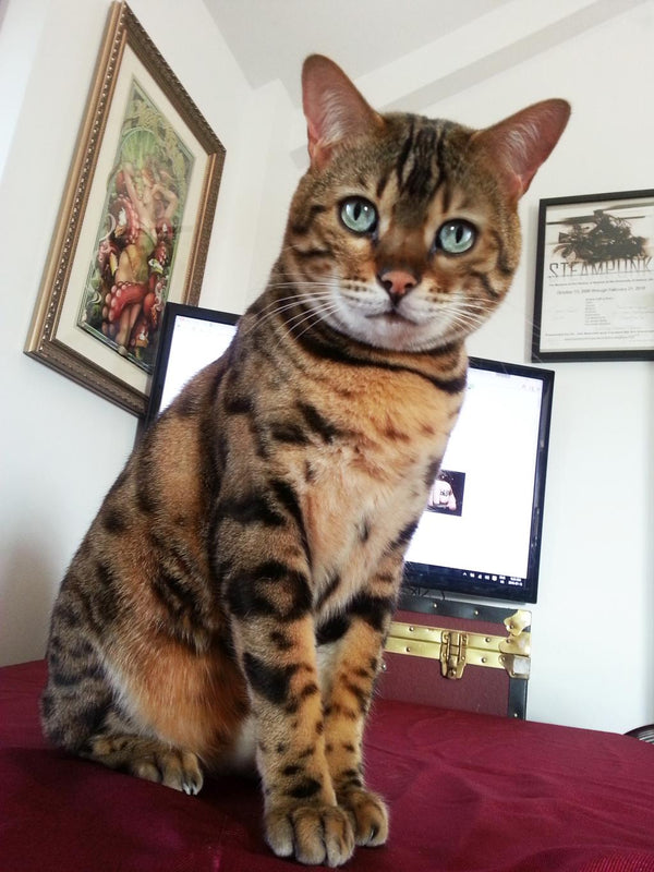 Leonard