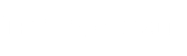 The Wizard's Vault