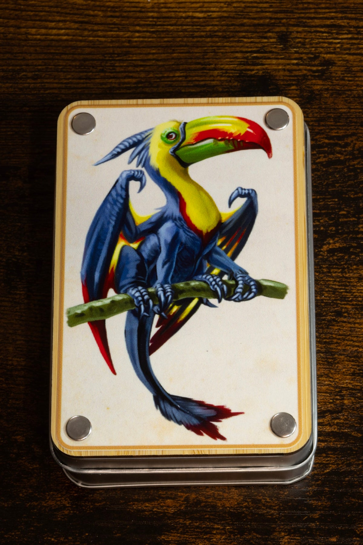 Toucan dragon dice box - The Wizard's Vault
