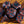 Lava Vault Dice Set - red mica with blue metal - The Wizard's Vault