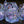 Ducklings of Doom dice Set - The Wizard's Vault