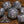 Galactic Storm - Grey Holographic Dice Set - The Wizard's Vault