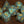 Celestial Aura - Turquoise grey galaxy glitter dice set - The Wizard's Vault