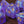 Arcane Focus - Purple galaxy glitter dice set - The Wizard's Vault