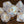 Paladin's Oath dice set - The Wizard's Vault