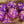 Galactic Orchid Dice Set - The Wizard's Vault