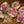 Fuchsia Pink flowers sharp edge dice set with gold flakes and holographic glitters - The Wizard's Vault