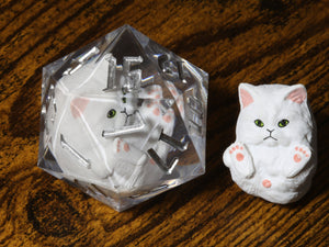 Persian Kitty D20 - Large D20 with white kitten inside - The Wizard's Vault