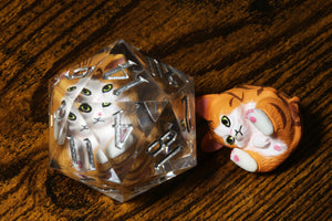 Red Tabby Kitty D20 - Large D20 with kitten inside - The Wizard's Vault