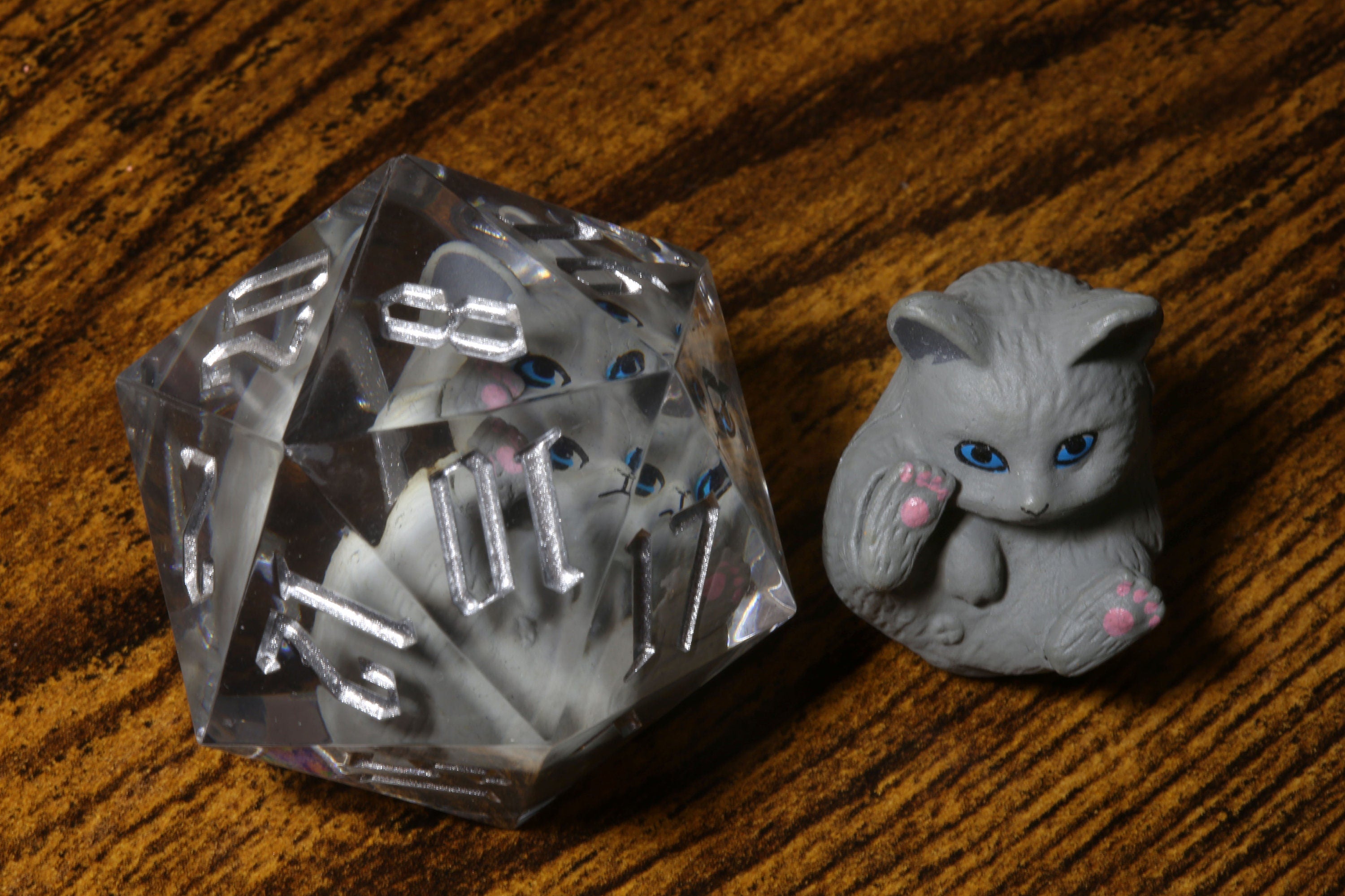 Grey Shorthair Kitty D20 - Large D20 with kitten inside - The Wizard's Vault