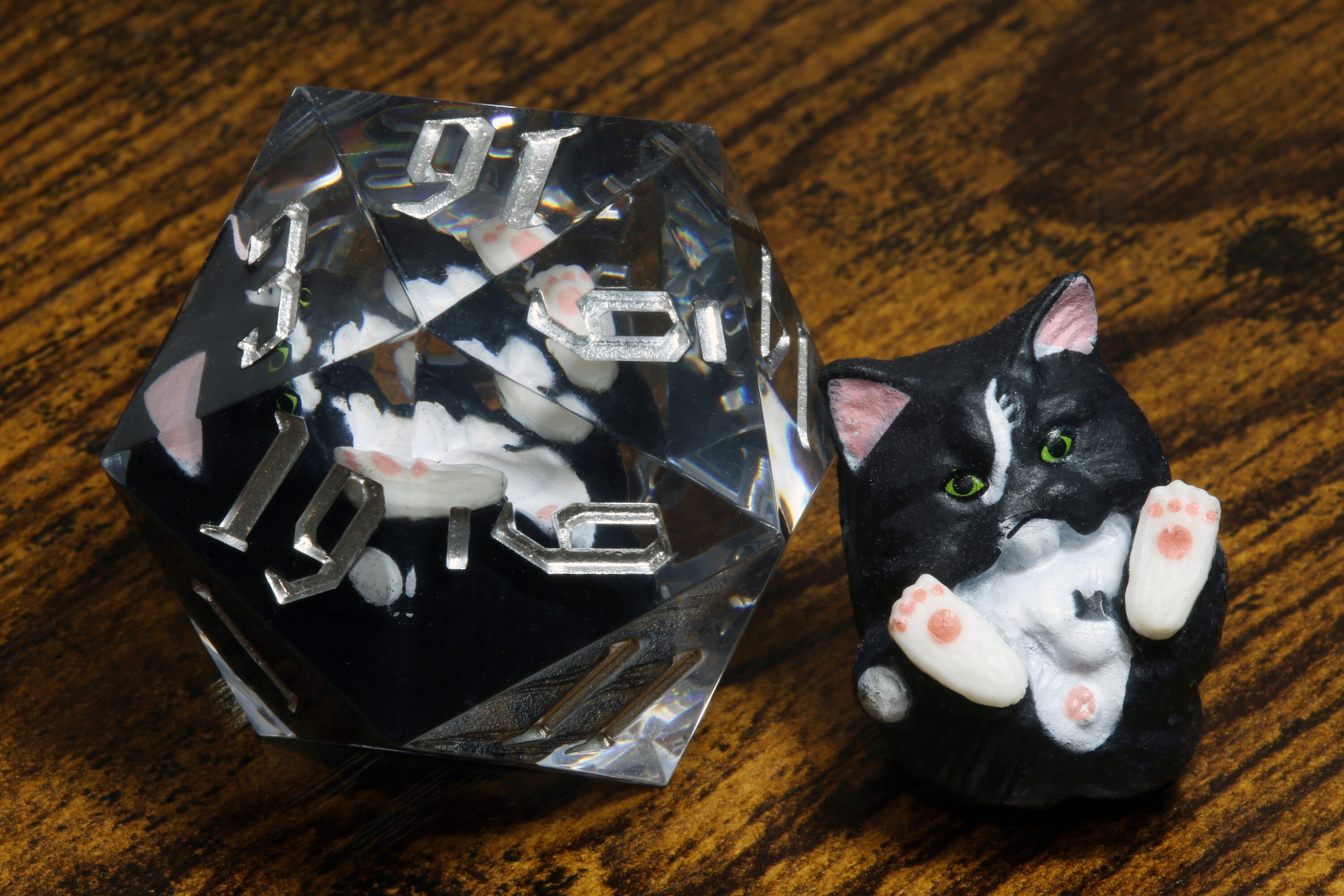 Black and white Kitty D20